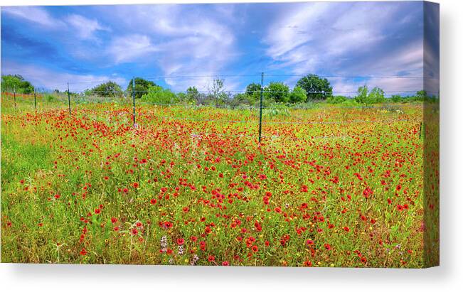 Texas Wildflowers Canvas Print featuring the photograph A Perfect Spring Day Panorama by Lynn Bauer