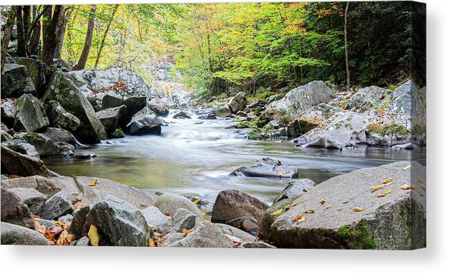 Mountain Stream Canvas Print featuring the photograph A Rocky Mountain Stream in the Great Smokey Mountains by Bob Decker