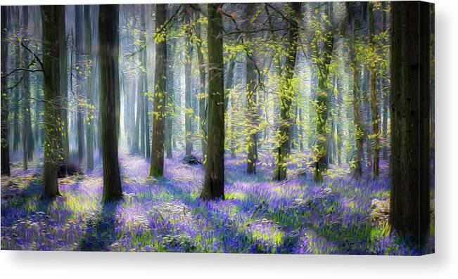 Oil Canvas Print featuring the photograph Bluebell wood ol 1 by Remigiusz MARCZAK