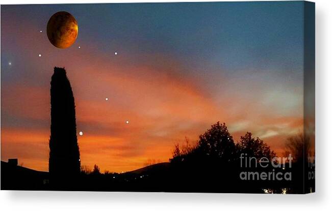 Venus Canvas Print featuring the photograph Dot the I by Fred Wilson
