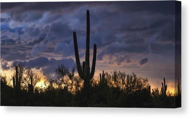 Saguaro Sunset Canvas Print featuring the photograph Dramatic Sunset Skies Of The Sonoran by Saija Lehtonen