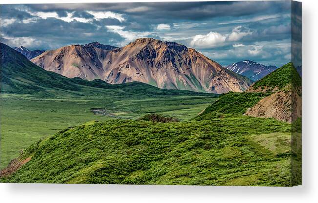 Denali National Park Canvas Print featuring the photograph Naturally Denali by Marcy Wielfaert