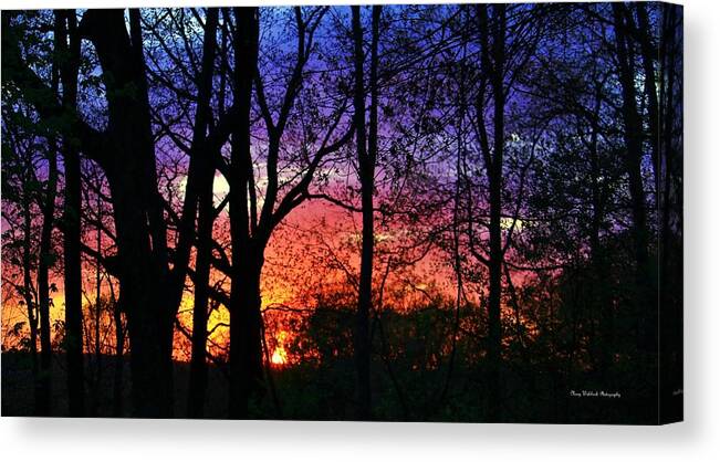 Landscape Canvas Print featuring the photograph Rainbow Sunset by Mary Walchuck