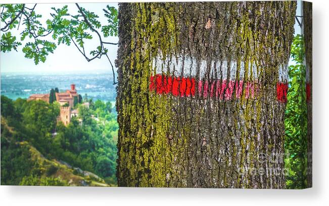 Mark Canvas Print featuring the photograph red signs on marked tree hiking trail in italy - Monteveglio - Bologna - Italy by Luca Lorenzelli