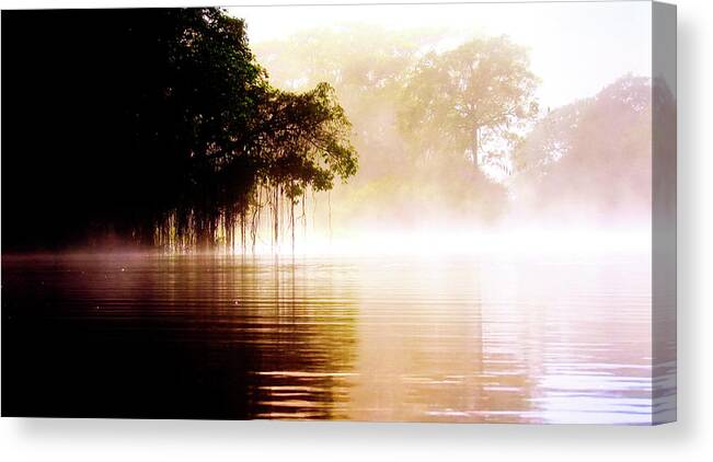 River Canvas Print featuring the photograph River in the fog by Patricia Piotrak
