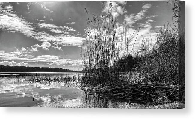 Nature Photography Canvas Print featuring the photograph Spring Riverside In Black And White by Aleksandrs Drozdovs
