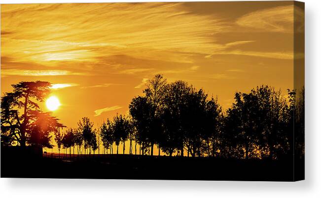 Golden Sky Canvas Print featuring the photograph Sunset sky and silhouette of trees by Fabiano Di Paolo