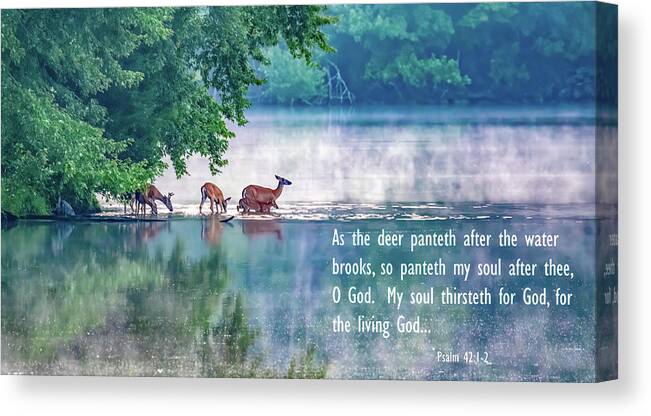 Deer Canvas Print featuring the photograph Thirsty for More Than Water by Marcy Wielfaert