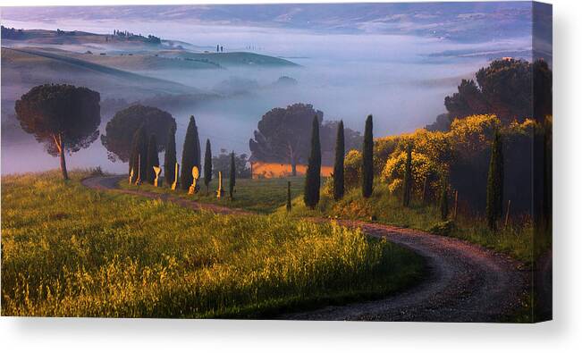 Italy Canvas Print featuring the photograph Val d'Orcia by Evgeni Dinev