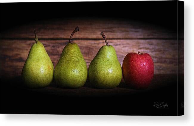 Pears Canvas Print featuring the photograph Why Did You Bring HER? by Rene Crystal