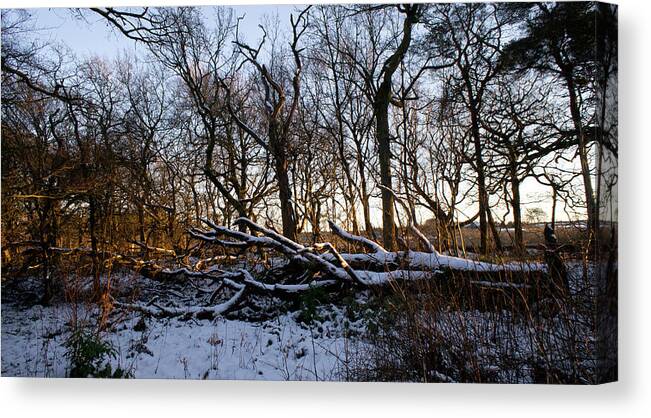 Winter Canvas Print featuring the photograph Winter the Beautiful by Elena Perelman