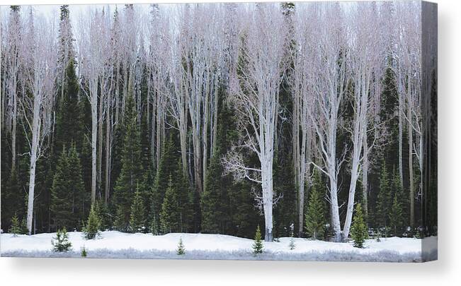 National Monument Canvas Print featuring the photograph Winter White by Jason Roberts