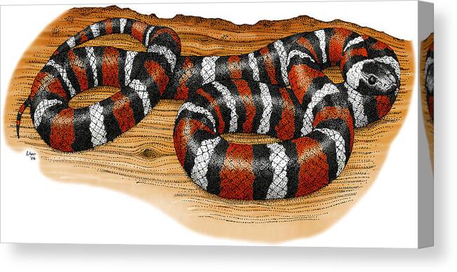Art Canvas Print featuring the photograph Mountain Kingsnake by Roger Hall