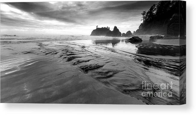 Ruby Canvas Print featuring the photograph Ruby Beach #3 by Twenty Two North Photography