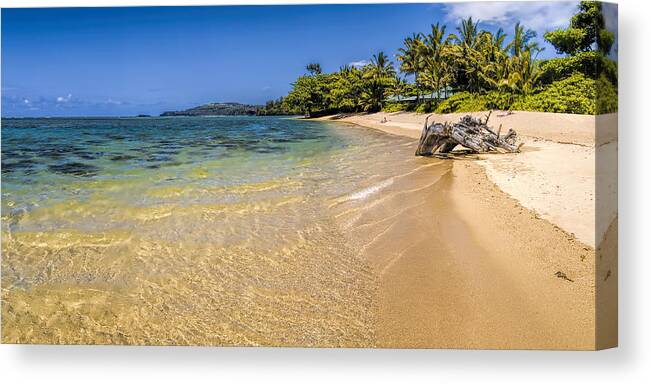 Beach Canvas Print featuring the photograph Anini Beach 1 by Gordon Engebretson