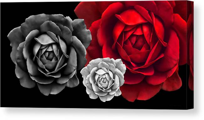 Rose Canvas Print featuring the photograph Black White Red Roses Abstract by Jennie Marie Schell