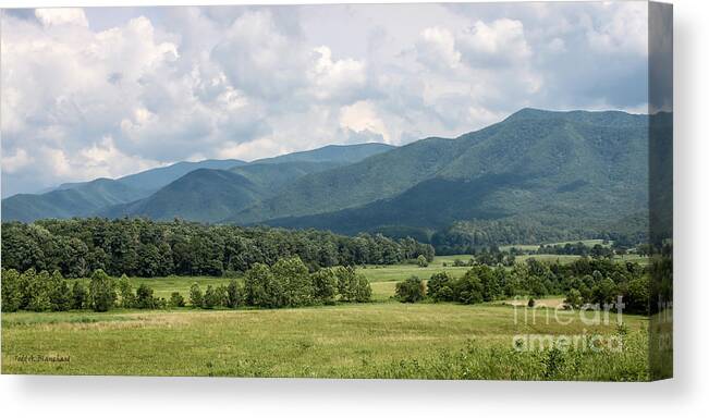 Landscape Canvas Print featuring the photograph Cades Cove In Summer by Todd Blanchard