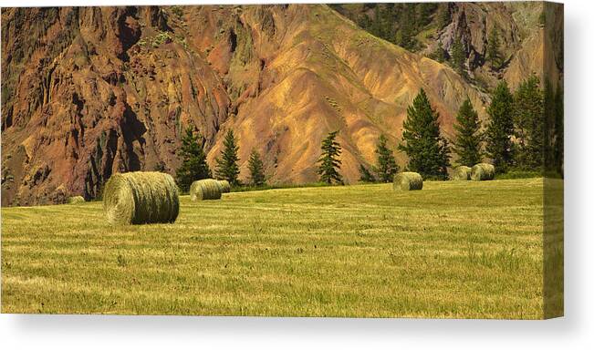 Beautiful British Columbia Canvas Print featuring the photograph Hay Rolls by Theresa Tahara