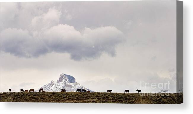 Equidae Equus Caballus Canvas Print featuring the photograph Heart Mountain Horses by J L Woody Wooden