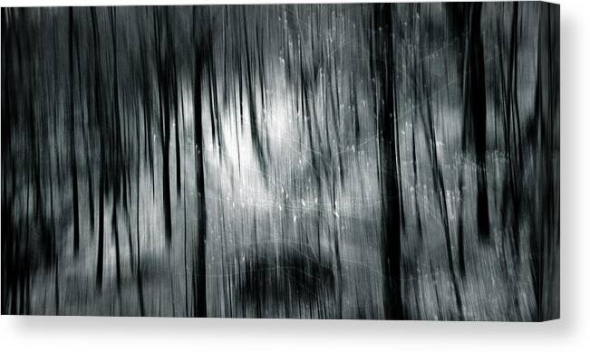 Forest Canvas Print featuring the photograph Voyage by Dorit Fuhg