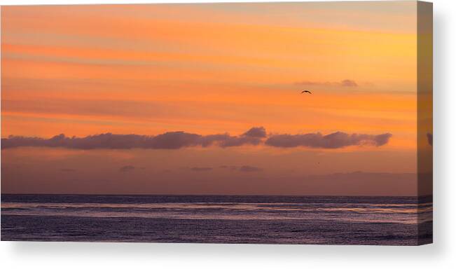 Beach Canvas Print featuring the photograph I'll Fly Away by Peter Tellone