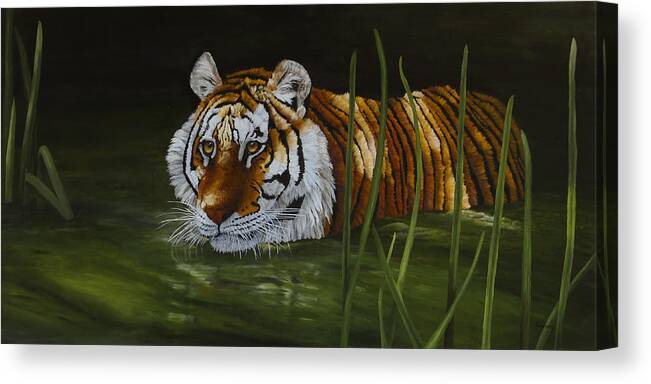 Tiger Canvas Print featuring the painting Intrigued - Tiger by Johanna Lerwick
