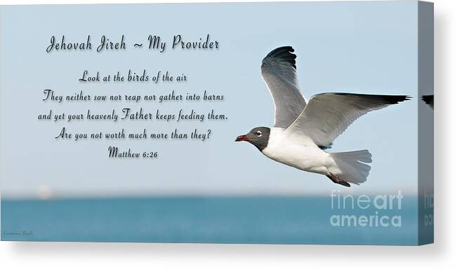 Seagull Canvas Print featuring the painting Jehovah Jireh My Provider by Constance Woods