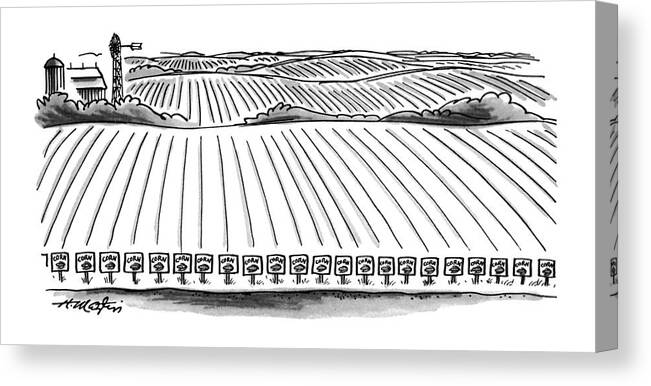 (each Row In A Huge Field Of Corn Is Marked With A Little Seed Packet For Corn.) Rural Canvas Print featuring the drawing New Yorker May 21st, 1979 by Henry Martin