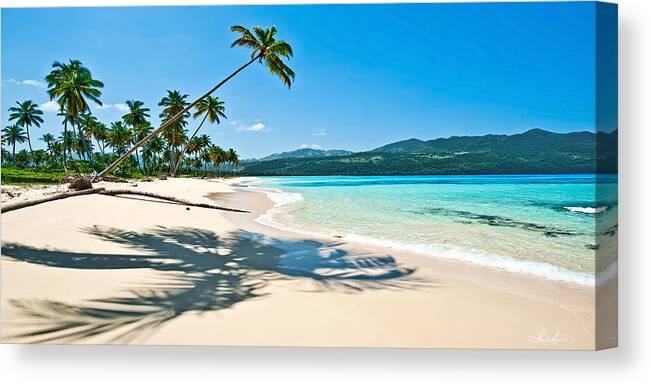 Landscape Canvas Print featuring the photograph Playa Rincon by Renee Sullivan