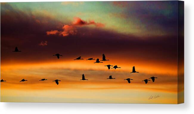 Bill Kesler Photography Canvas Print featuring the photograph Sandhill Cranes Take The Sunset Flight by Bill Kesler
