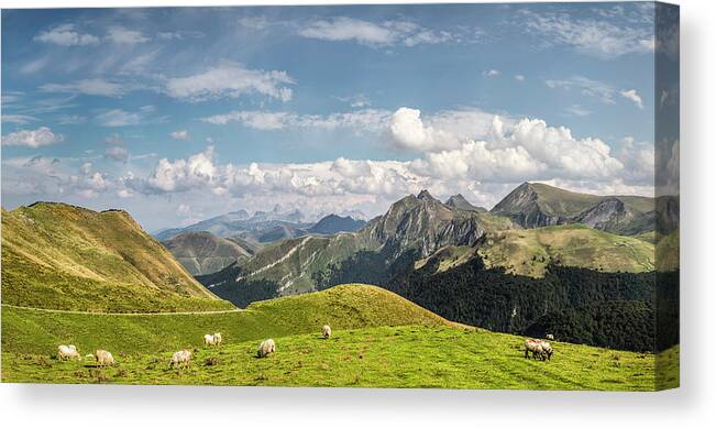 Tranquility Canvas Print featuring the photograph Sheep Grazing, Saint-michel, Pyrenees by Manuel Sulzer