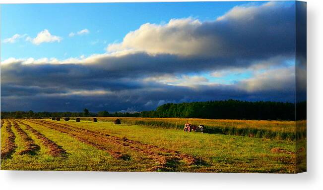 Summer Canvas Print featuring the photograph Summer Harvest by Brook Burling
