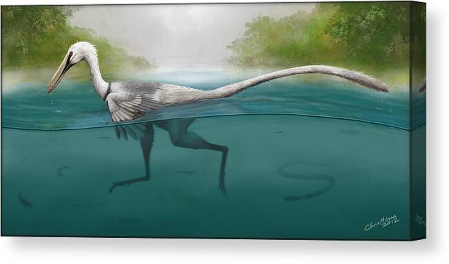 Buitreraptor Canvas Print featuring the digital art Swimming Raptor by Christian Masnaghetti