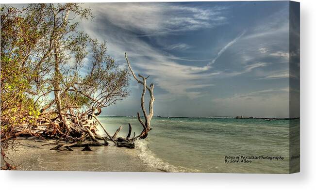 Paradise Canvas Print featuring the photograph Beach Tree by Sean Allen