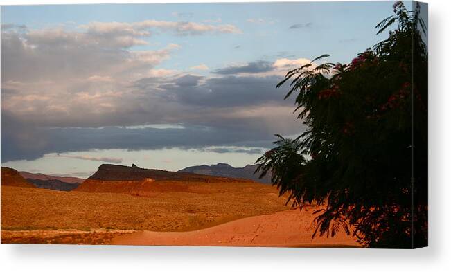Desert. High Desert.mounatins Canvas Print featuring the photograph First Desert Light by Patricia Haynes