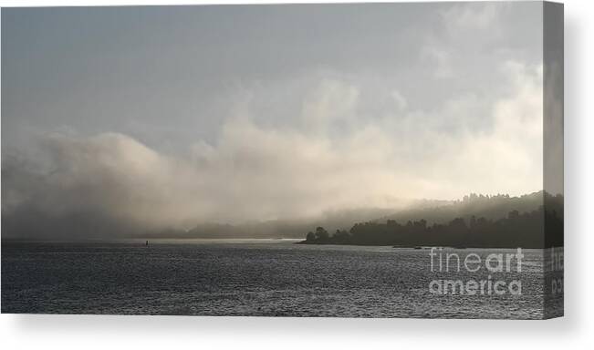 Foggy Morning Canvas Print featuring the photograph Foggy Morning greyscale by Lutz Baar