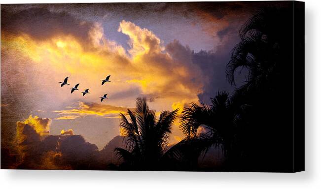 Sunset Canvas Print featuring the photograph Sunset Flight by Don Durfee