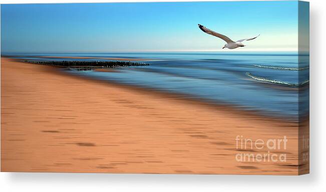 Beach Canvas Print featuring the photograph Desire Light by Hannes Cmarits