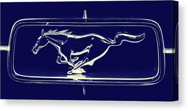 Mustang Canvas Print featuring the photograph Mustang #1 by Mountain Dreams