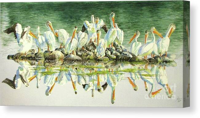 Pelican Canvas Print featuring the painting Standing Room Only #1 by Greg and Linda Halom