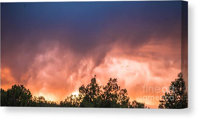 Natanson Canvas Print featuring the photograph Stormy Weather #1 by Steven Natanson