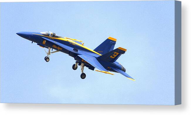 Blue Angel Canvas Print featuring the photograph Blues by Jerry Cahill