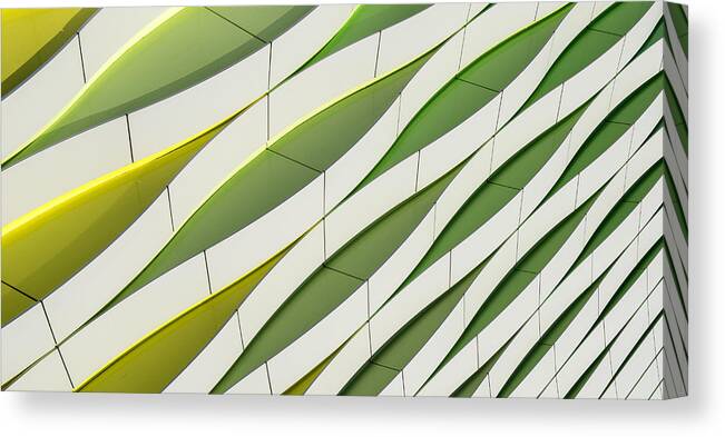 Groningen Canvas Print featuring the photograph Dancing Yellow And Green by Gerard Jonkman