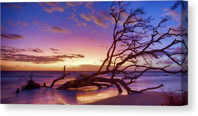 Landscape Canvas Print featuring the photograph Driftwood Beach 1 by Dillon Kalkhurst