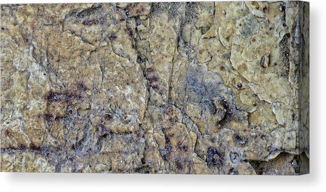 Macro Canvas Print featuring the photograph Earth Portrait L1 by David Waldrop