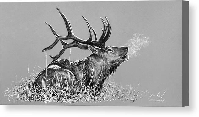 Elk Canvas Print featuring the photograph Elk Bugle BW by Aaron Spong