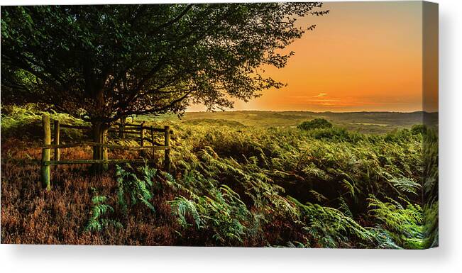 Sunset Canvas Print featuring the photograph Evening Glow by Nick Bywater