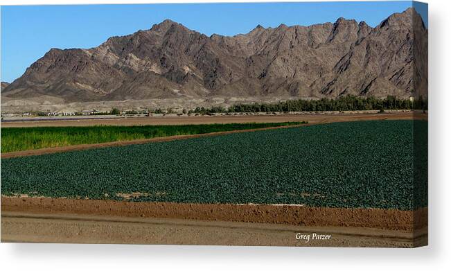 Patzer Canvas Print featuring the photograph Fields of Yuma by Greg Patzer