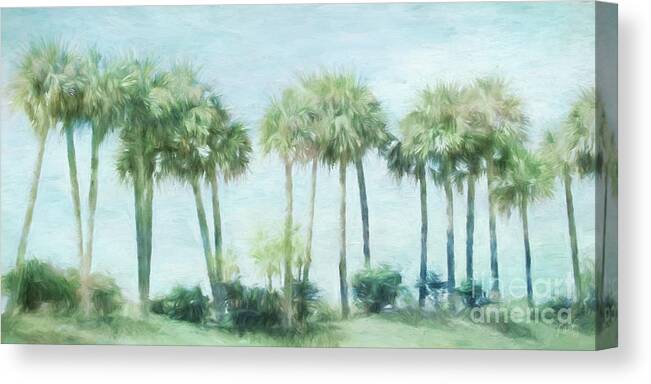 Palm Trees Canvas Print featuring the digital art Florida Palms II by Jayne Carney