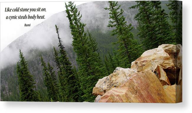 Nature Canvas Print featuring the photograph Food for Thought by Rhonda McDougall